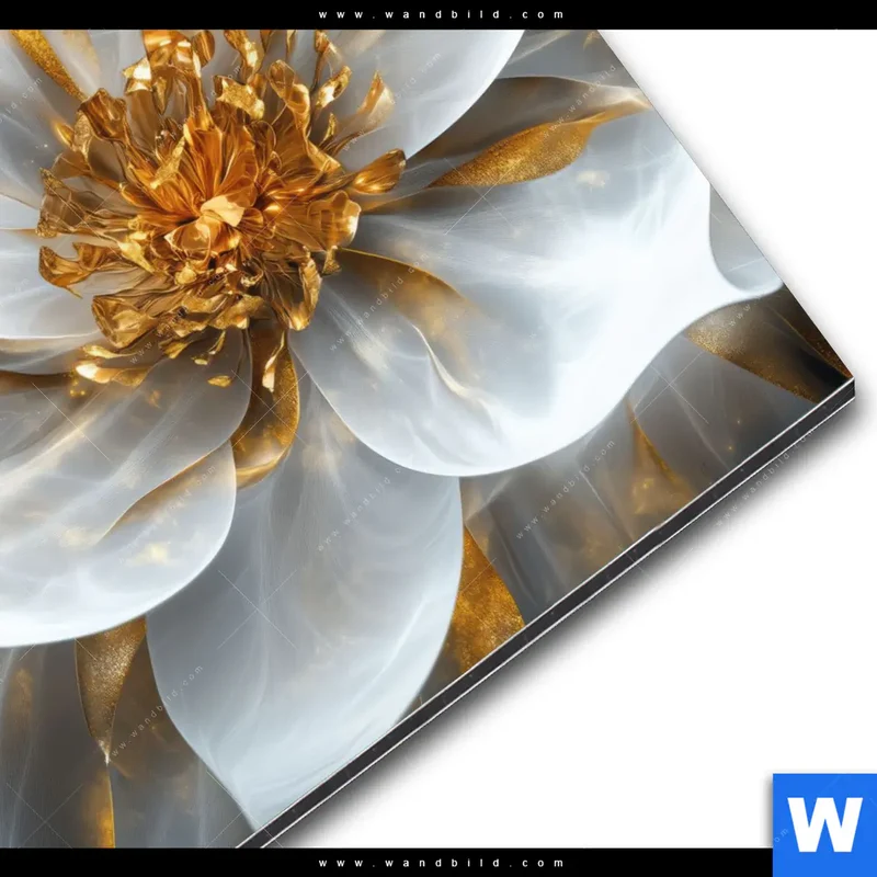Alu-Dibond Bild | Zarte Luxusblüte | Quadrat