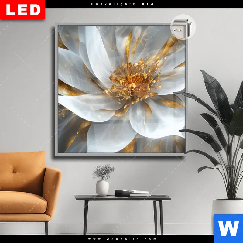 Leuchtbild Acrylglas Canvalight® DIA | Zarte Luxusblüte | Quadrat