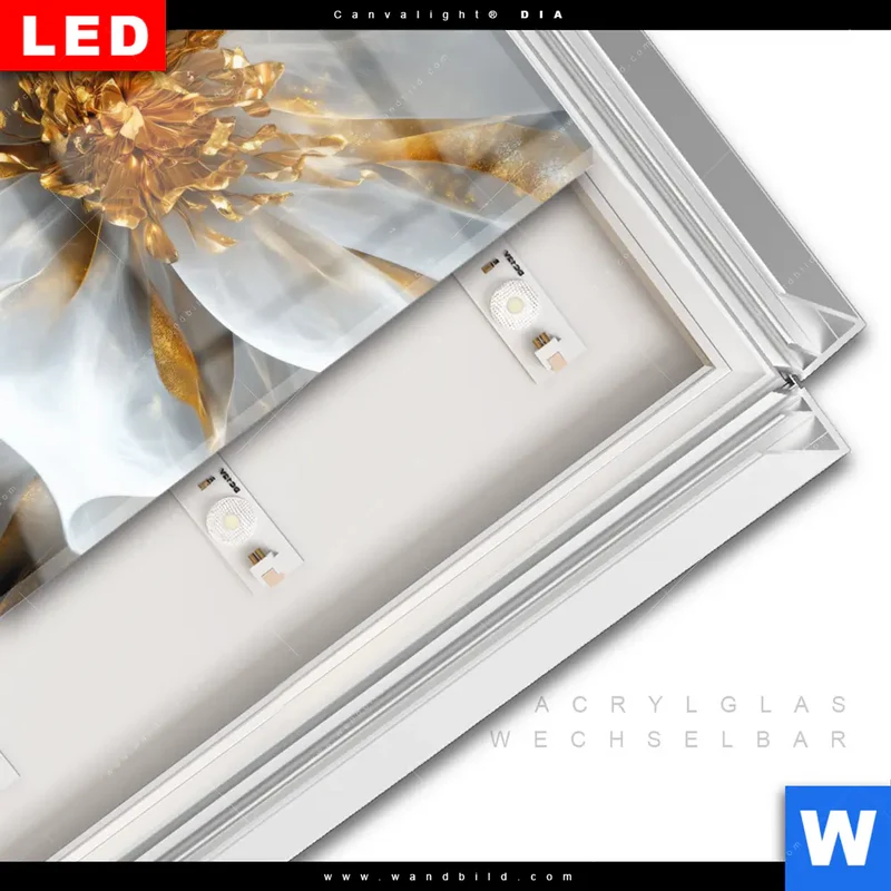 Leuchtbild Acrylglas Canvalight® DIA | Zarte Luxusblüte | Quadrat
