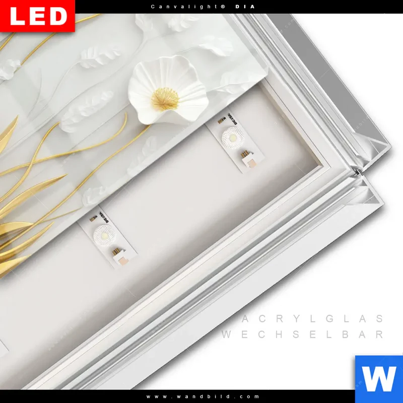 Leuchtbild Acrylglas Canvalight® DIA | Florale Leichtigkeit mit Goldglanz | Quadrat