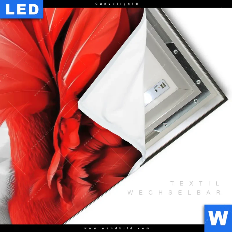 Canvalight® Leuchtbild | Roter Flamingo | Querformat