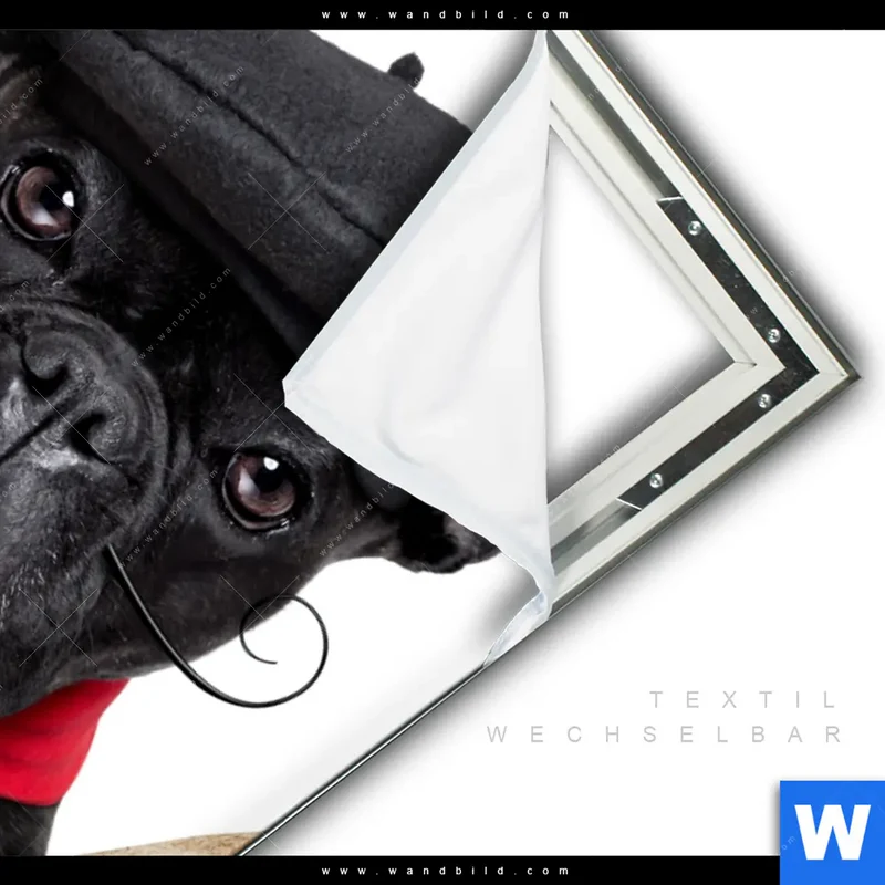 Spannbild | Französischer Bulldoggen-Charme mit Baguette & Wein | Hochformat