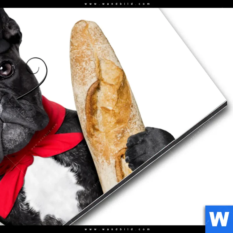 Alu-Dibond Bild | Französischer Bulldoggen-Charme mit Baguette & Wein | Querformat