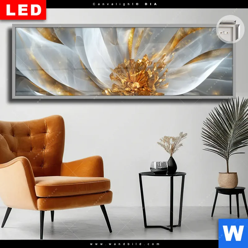 Leuchtbild Acrylglas Canvalight® DIA | Zarte Luxusblüte | Panorama