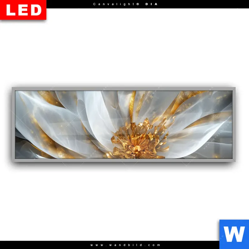 Leuchtbild Acrylglas Canvalight® DIA | Zarte Luxusblüte | Panorama