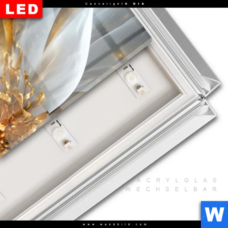 Leuchtbild Acrylglas Canvalight® DIA | Zarte Luxusblüte | Panorama