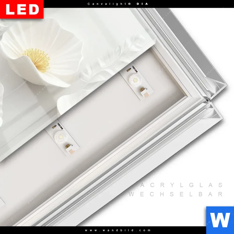 Leuchtbild Acrylglas Canvalight® DIA | Florale Leichtigkeit mit Goldglanz | Schmal