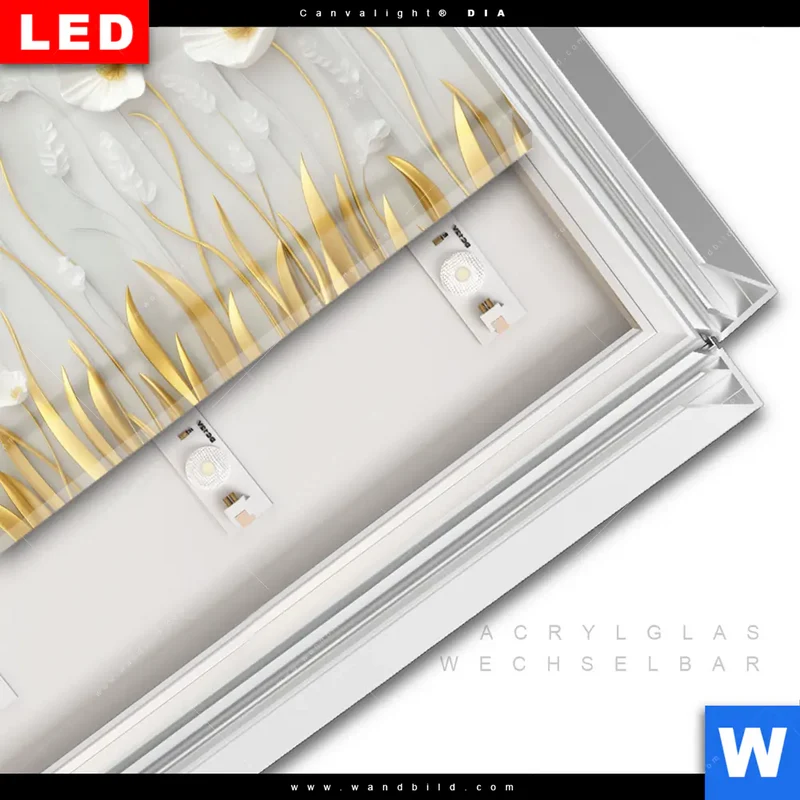 Leuchtbild Acrylglas Canvalight® DIA | Florale Leichtigkeit mit Goldglanz | Querformat