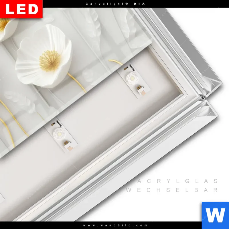 Leuchtbild Acrylglas Canvalight® DIA | Florale Leichtigkeit mit Goldglanz | Panorama