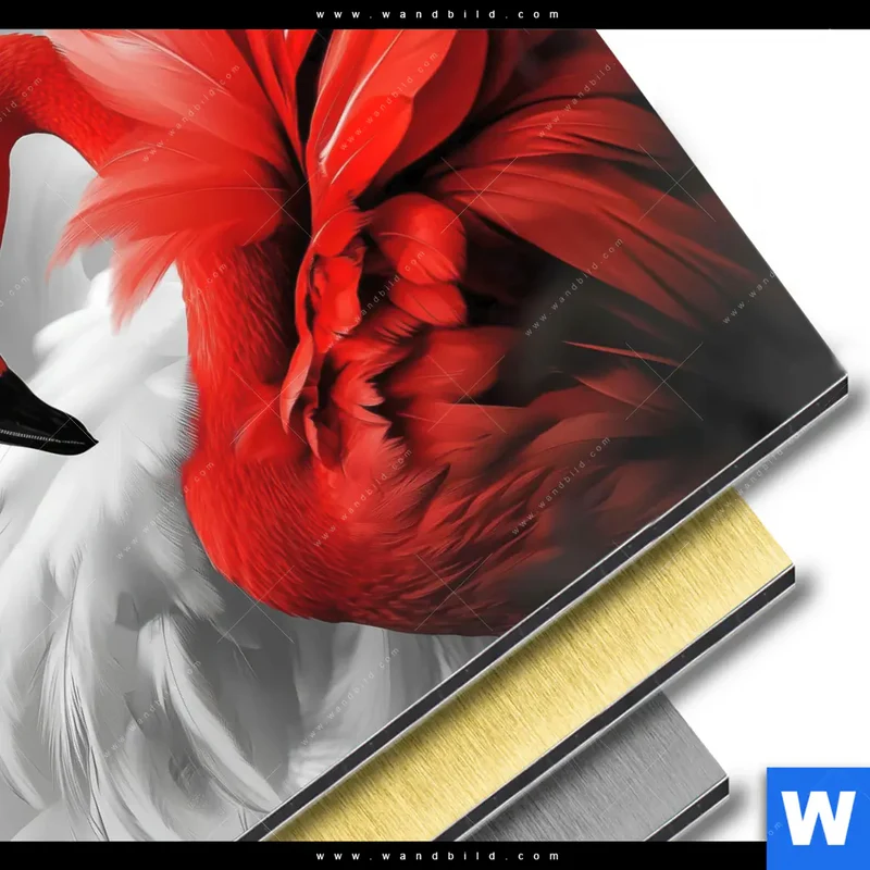 Aluminiumbild gebürstet | Roter Flamingo | Quadrat