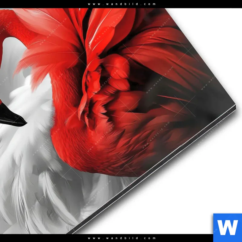 Alu-Dibond Bild | Roter Flamingo | Quadrat