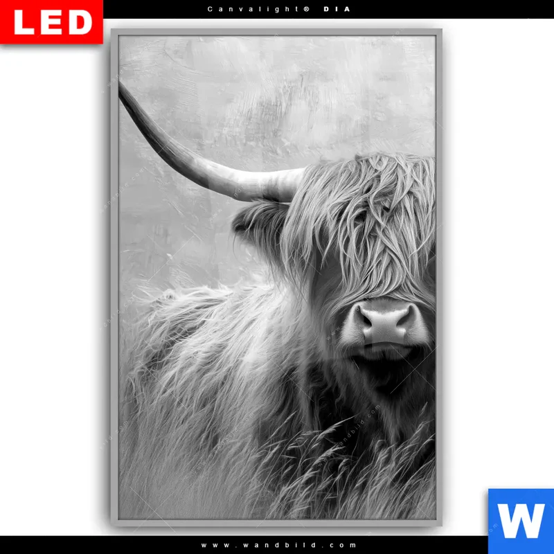 Leuchtbild Acrylglas Canvalight® DIA | Hochlandrind - Majestätische Hörner | Hochformat