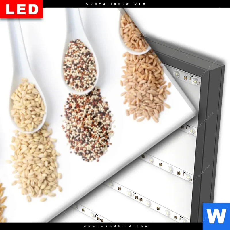 Wechselmotiv Acrylglas Canvalight® DIA | Vielfalt im Löffel | Schmal