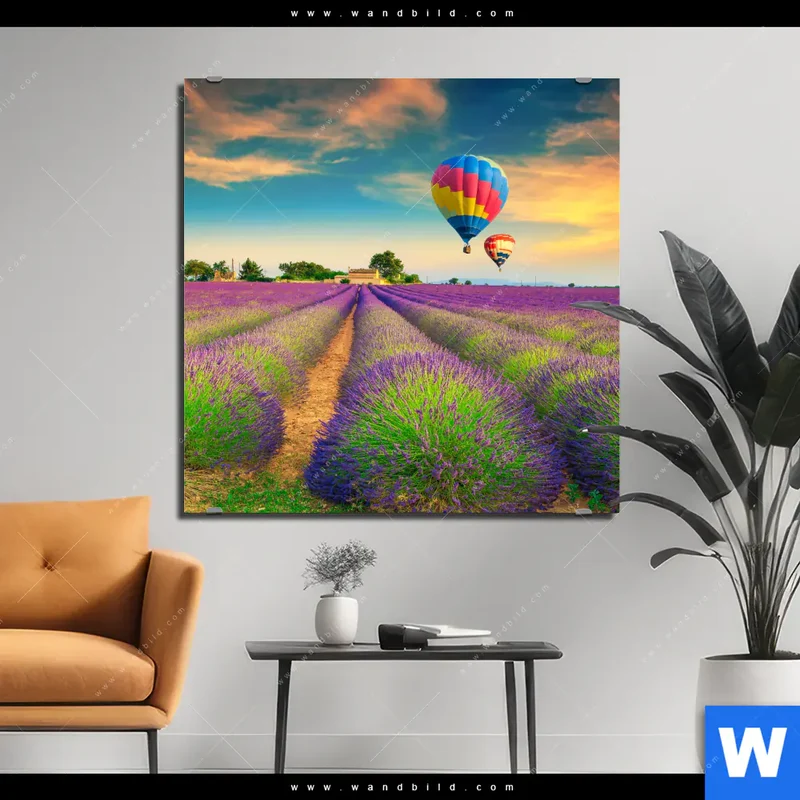Alu-Dibond Bild | Heißluftballons über violetten Feldern | Quadrat