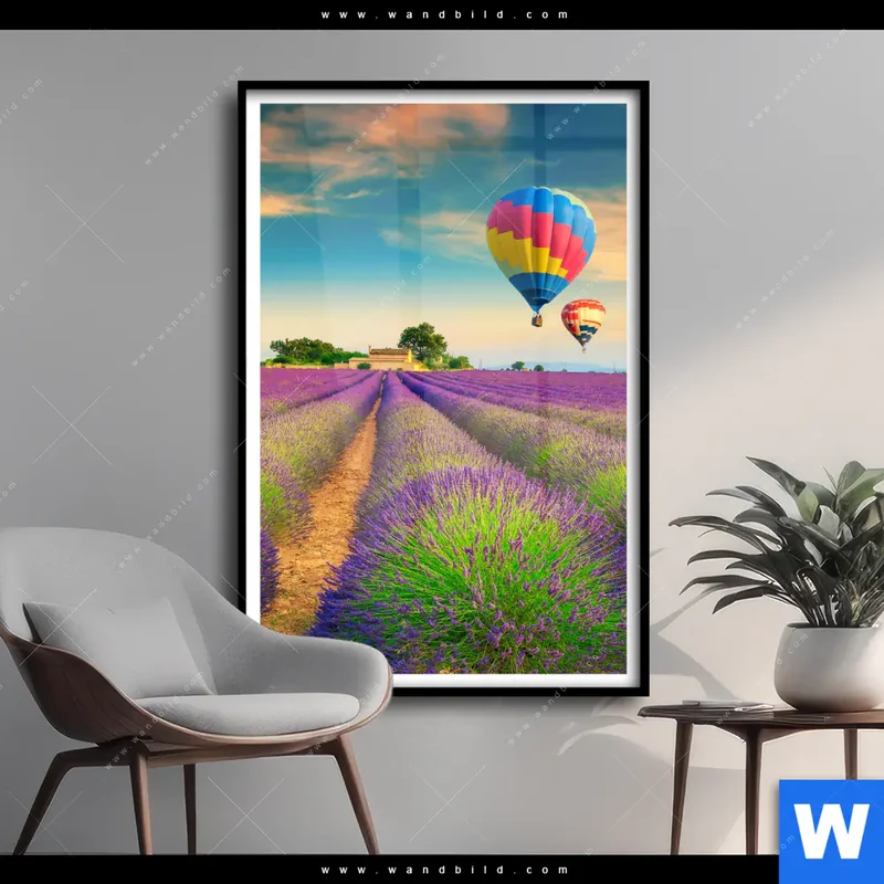 Poster | Heißluftballons über violetten Feldern | Hochformat