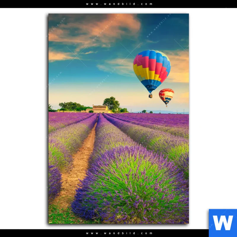 Poster | Heißluftballons über violetten Feldern | Hochformat