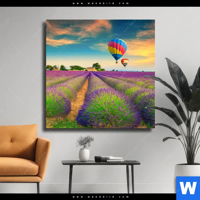 Leinwandbild | Heißluftballons über violetten Feldern | Quadrat