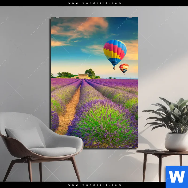 Alu-Dibond Bild | Heißluftballons über violetten Feldern | Hochformat