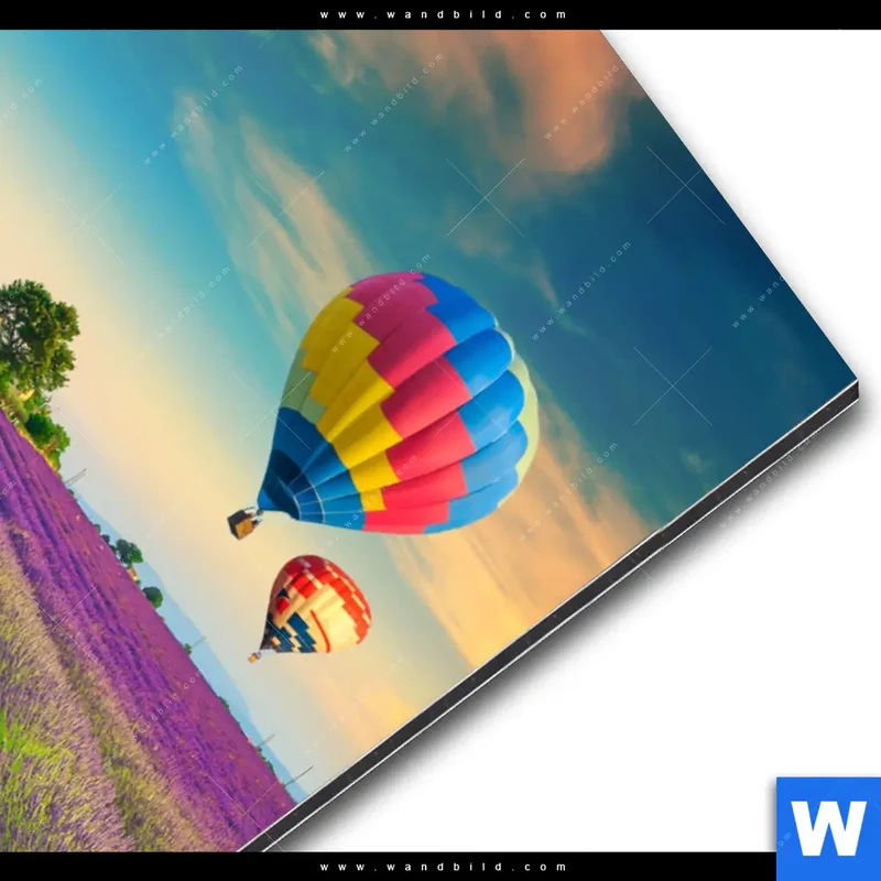 Alu-Dibond Bild | Heißluftballons über violetten Feldern | Hochformat