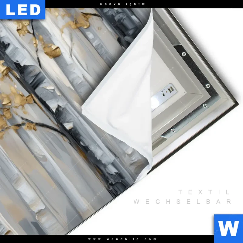 Canvalight® Leuchtbild | Stille im Wald | Querformat