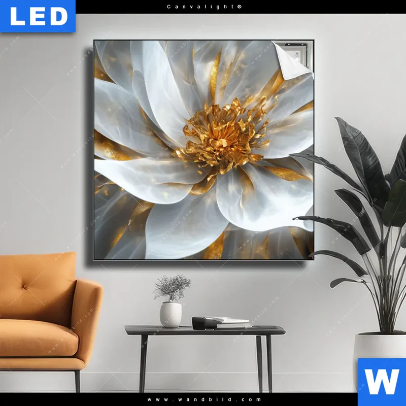 Canvalight® Leuchtbild | Zarte Luxusblüte | Quadrat