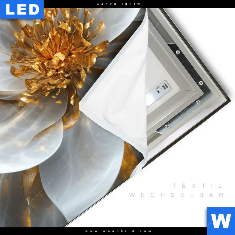 Canvalight® Leuchtbild | Zarte Luxusblüte | Quadrat
