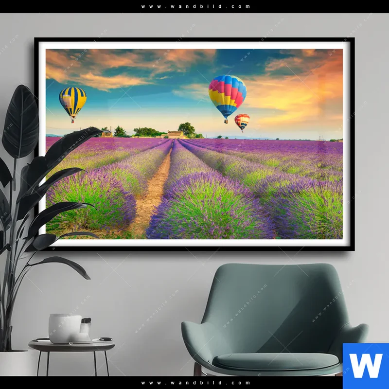Poster | Heißluftballons über violetten Feldern | Querformat