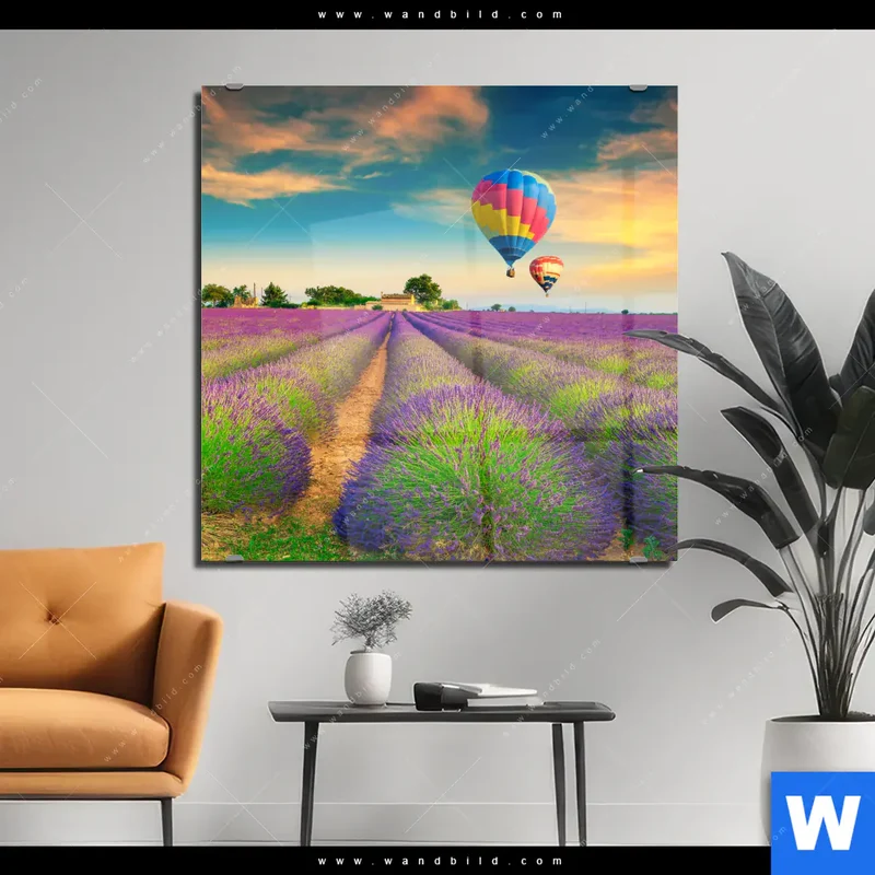 Acrylglasbild | Heißluftballons über violetten Feldern | Quadrat