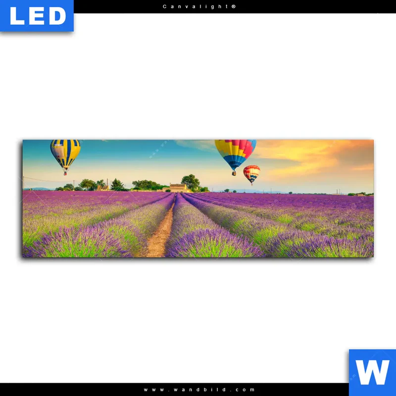 Canvalight® Leuchtbild | Heißluftballons über violetten Feldern | Panorama