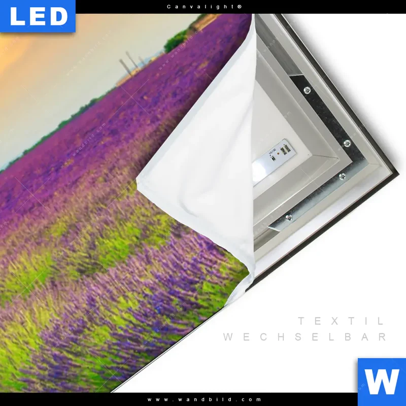 Canvalight® Leuchtbild | Heißluftballons über violetten Feldern | Panorama