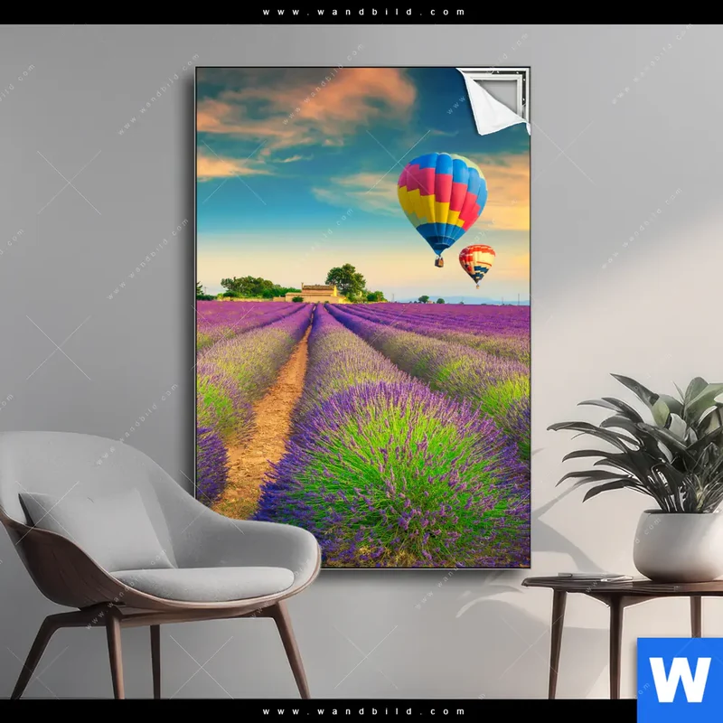 Spannbild | Heißluftballons über violetten Feldern | Hochformat