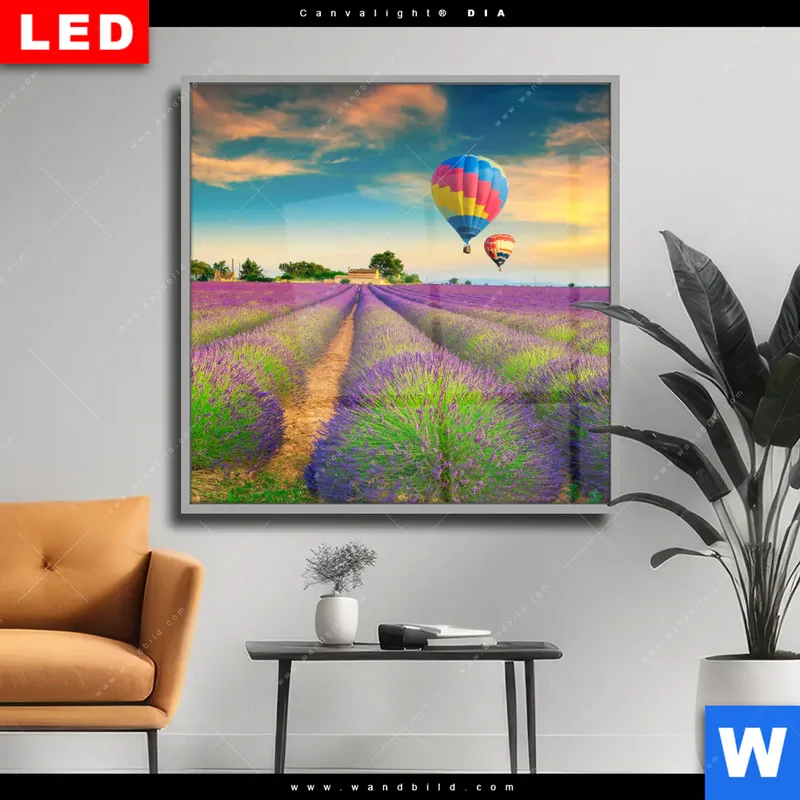 Wechselmotiv Acrylglas Canvalight® DIA | Heißluftballons über violetten Feldern | Quadrat