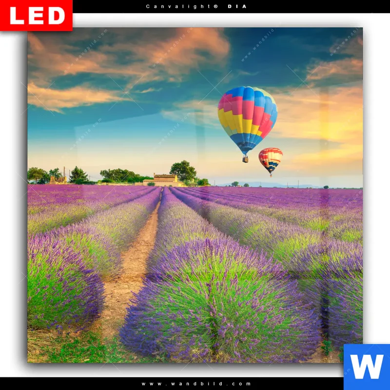 Wechselmotiv Acrylglas Canvalight® DIA | Heißluftballons über violetten Feldern | Quadrat