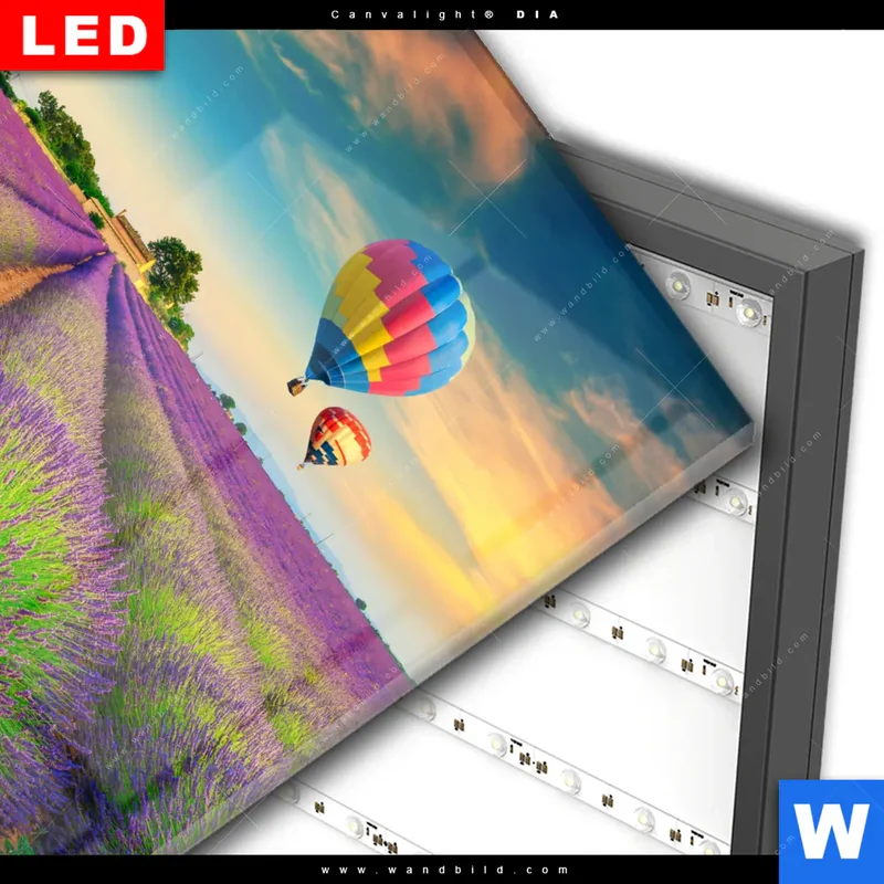 Wechselmotiv Acrylglas Canvalight® DIA | Heißluftballons über violetten Feldern | Quadrat