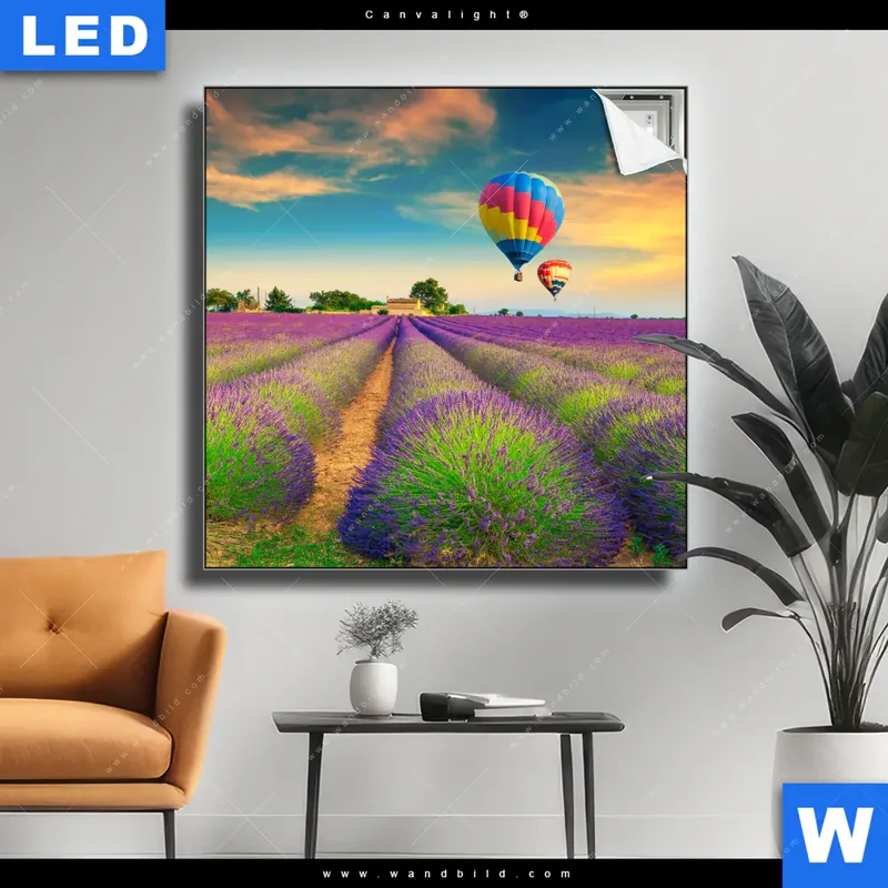Canvalight® Leuchtbild | Heißluftballons über violetten Feldern | Quadrat