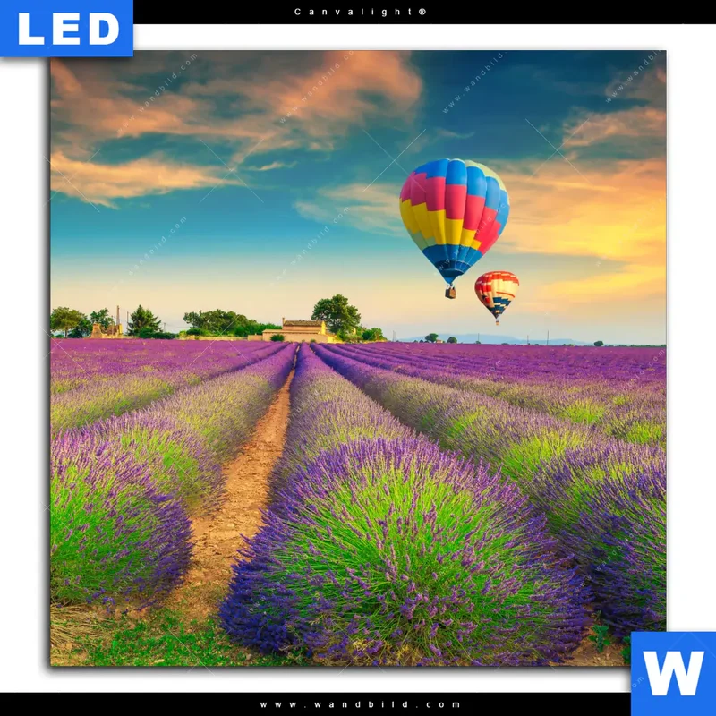 Canvalight® Leuchtbild | Heißluftballons über violetten Feldern | Quadrat