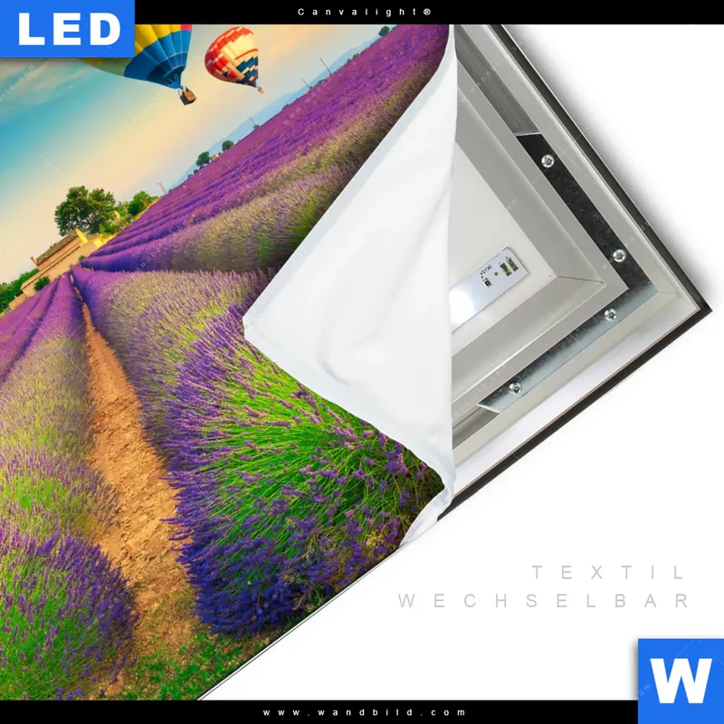 Canvalight® Leuchtbild | Heißluftballons über violetten Feldern | Quadrat