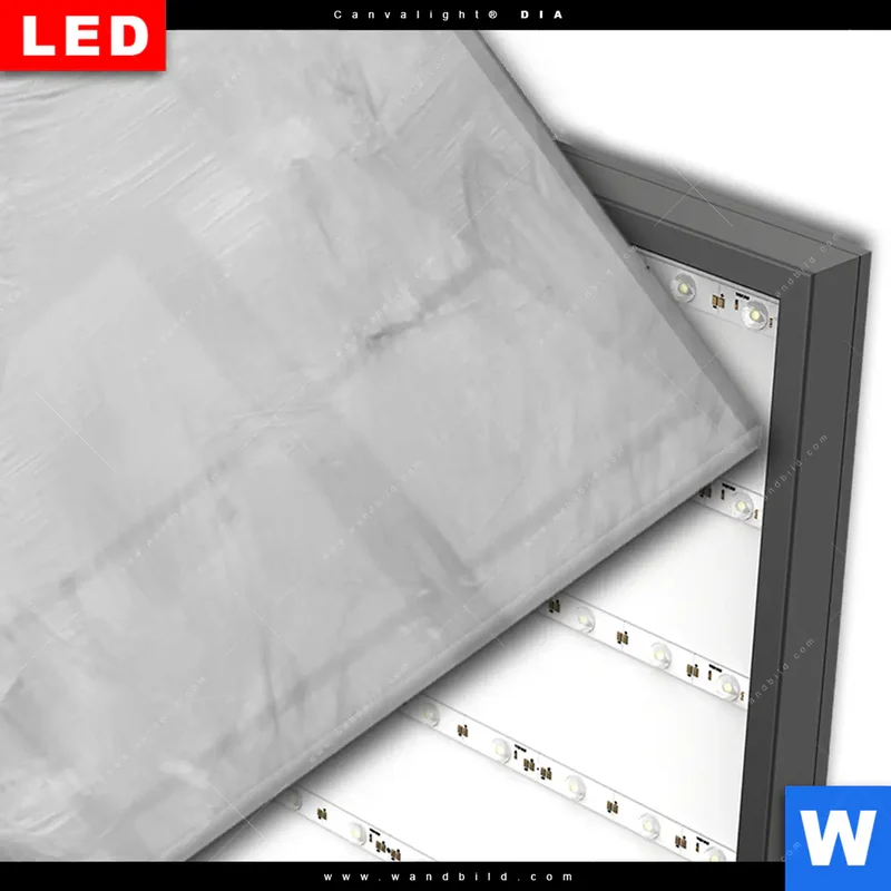 Wechselmotiv Acrylglas Canvalight® DIA | Hochlandrind - Majestätische Hörner | Panorama