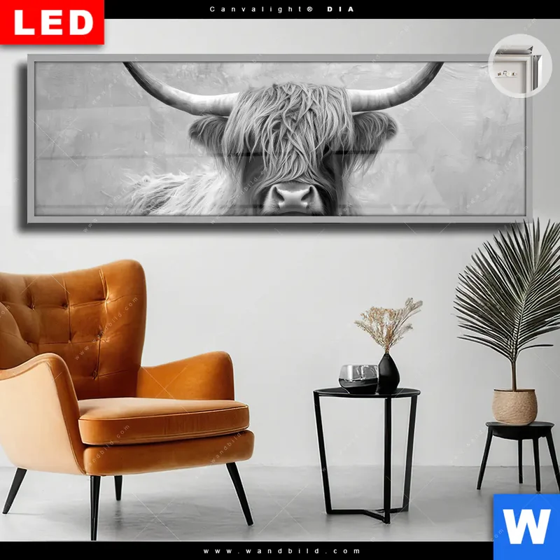Leuchtbild Acrylglas Canvalight® DIA | Hochlandrind - Majestätische Hörner | Panorama