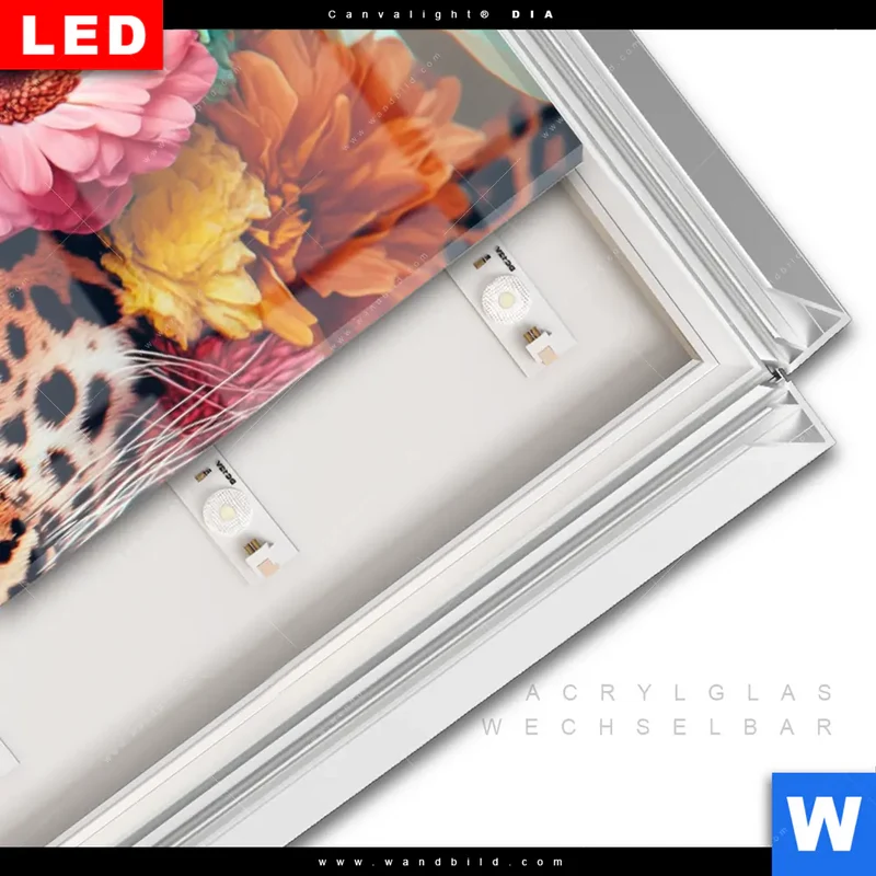 Leuchtbild Acrylglas Canvalight® DIA | Leopard mit Blütenkranz | Panorama