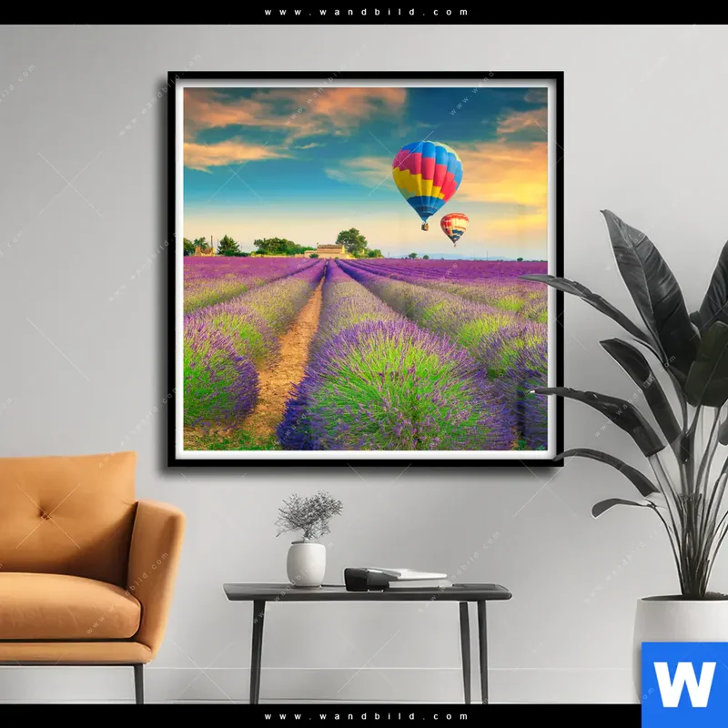 Poster | Heißluftballons über violetten Feldern | Quadrat