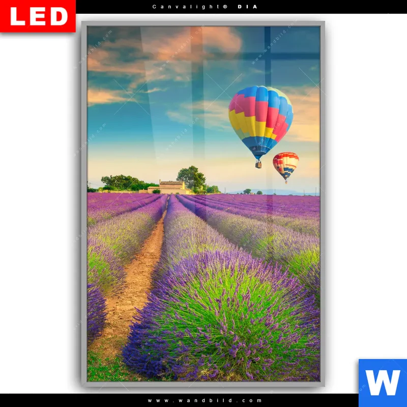 Leuchtbild Acrylglas Canvalight® DIA | Heißluftballons über violetten Feldern | Hochformat