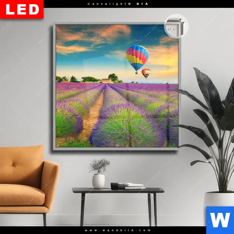Leuchtbild Acrylglas Canvalight® DIA | Heißluftballons über violetten Feldern | Quadrat