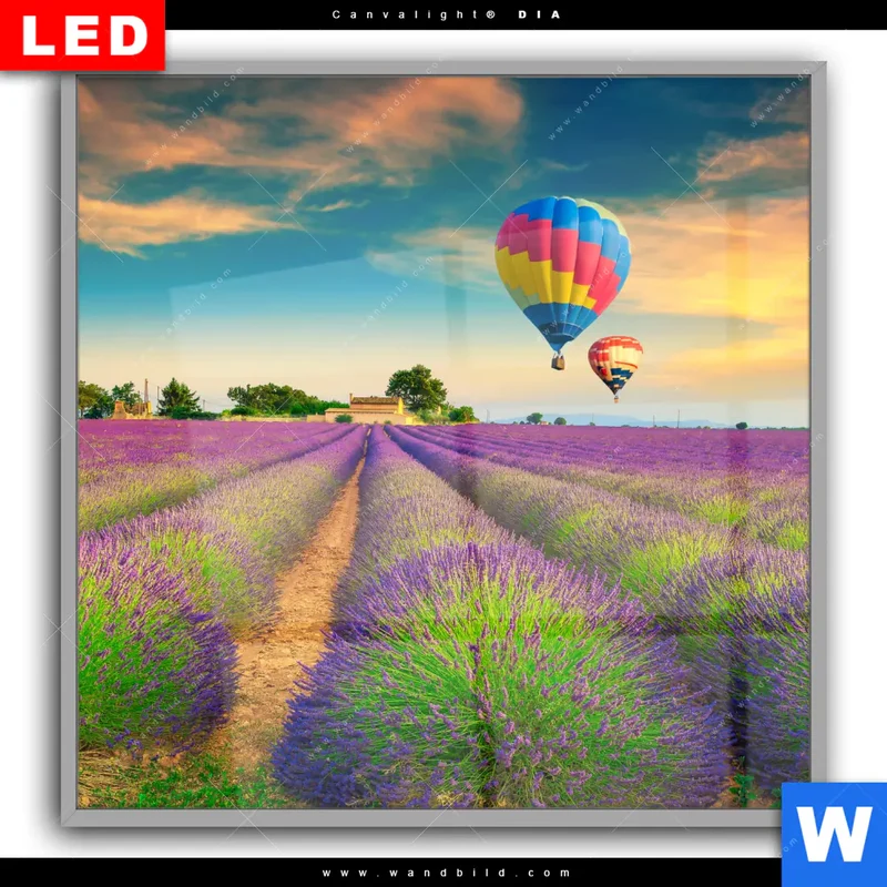 Leuchtbild Acrylglas Canvalight® DIA | Heißluftballons über violetten Feldern | Quadrat