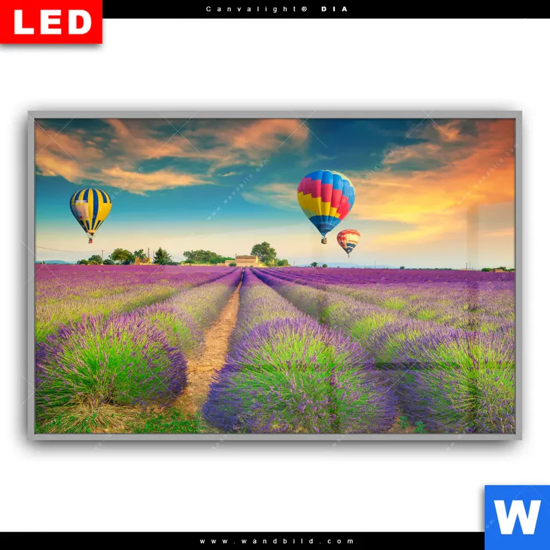 Leuchtbild Acrylglas Canvalight® DIA | Heißluftballons über violetten Feldern | Querformat