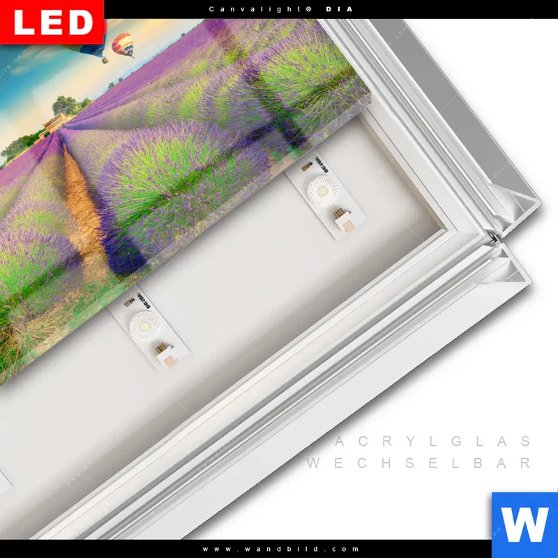 Leuchtbild Acrylglas Canvalight® DIA | Heißluftballons über violetten Feldern | Querformat
