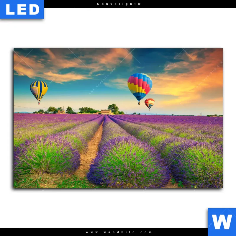 Canvalight® Leuchtbild | Heißluftballons über violetten Feldern | Querformat