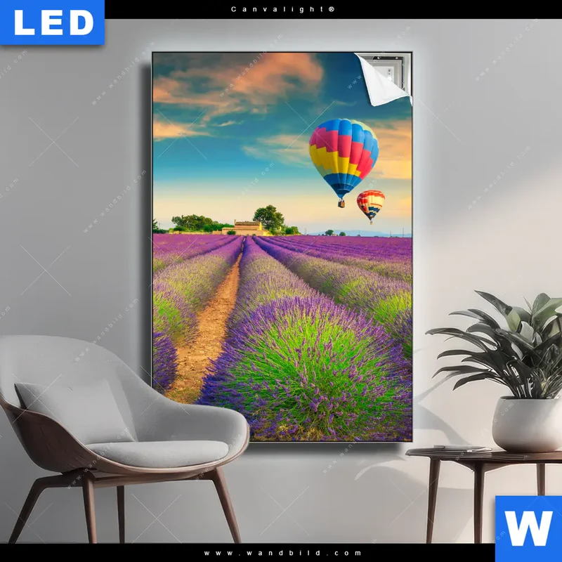 Canvalight® Leuchtbild | Heißluftballons über violetten Feldern | Hochformat