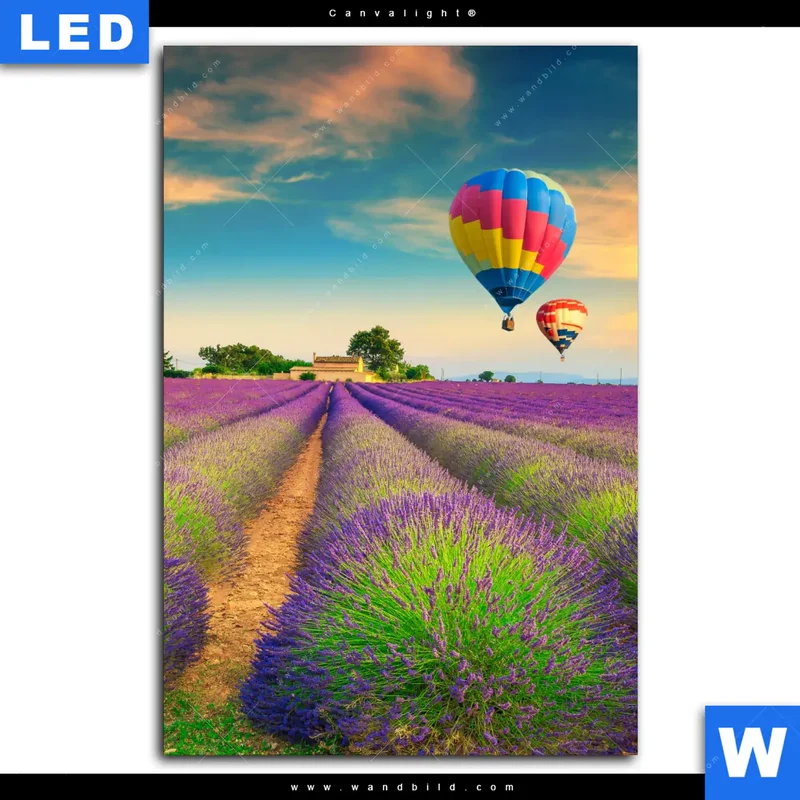 Canvalight® Leuchtbild | Heißluftballons über violetten Feldern | Hochformat