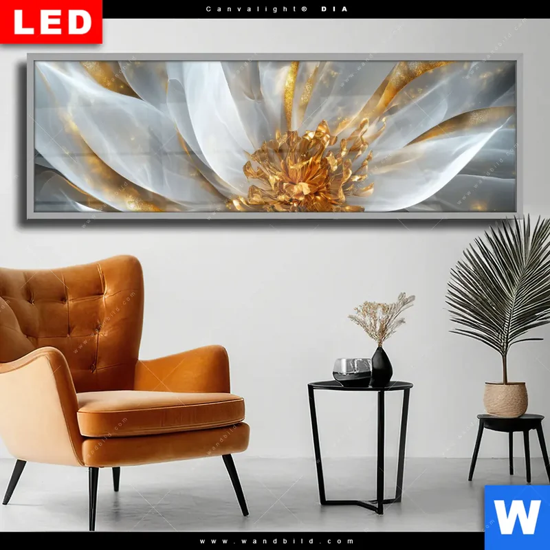 Wechselmotiv Acrylglas Canvalight® DIA | Zarte Luxusblüte | Panorama